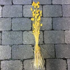 Gul dekorativ tørrede buket