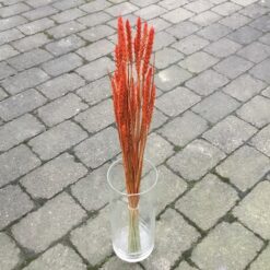 Alternative view of Tørrede orange hvede buket