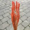Tørrede orange hvede buket