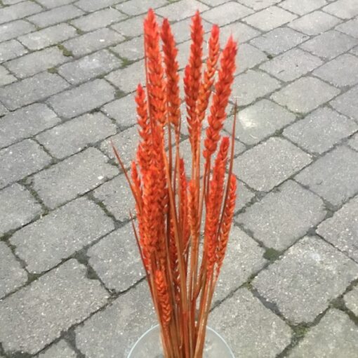 Tørrede orange hvede buket