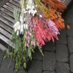 Tørrede blomster buketter i mange varianter