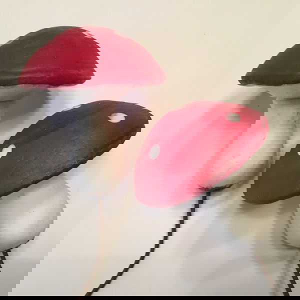 Rød dekorativ stor paddehat