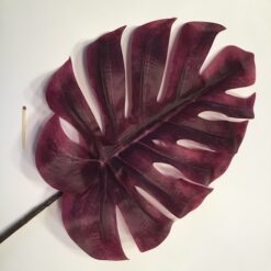 Alternative view of Lilla monster blad