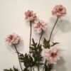 Blomstergren i rosa