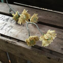 Alternative view of Evighedsblomst i oliven farve