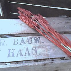 Tørrede koralfarvet hvede buket