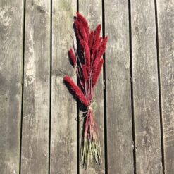 Alternative view of Tørrede blomster i røde