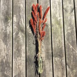 Alternative view of Tørrede blomster i gylden farve