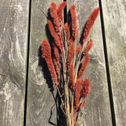 Tørrede blomster i gylden farve