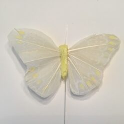 Hvid og gul stor sommerfugl