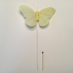 Alternative view of Hvid og gul stor sommerfugl