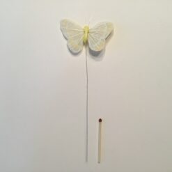 Alternative view of Hvid og gul lille sommerfugl