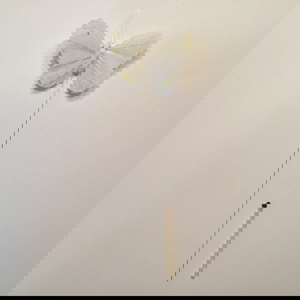 Hvid lille mønstret sommerfugl - Billede 2