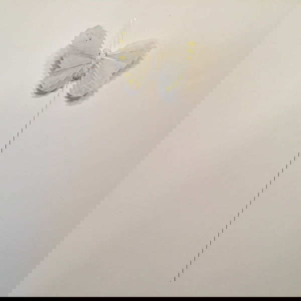 Hvid lille mønstret sommerfugl - Billede 3