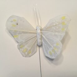 Hvid lille mønstret sommerfugl