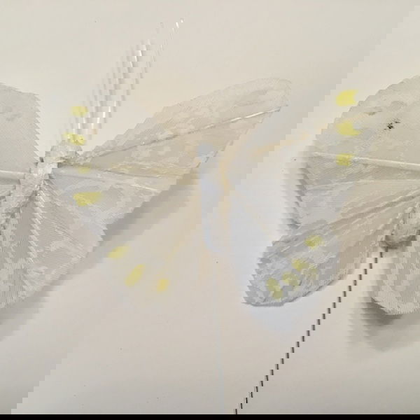 Hvid lille mønstret sommerfugl