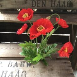 Alternative view of Naturtro rød valmue buket