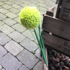 Naturtro grøn allium gren