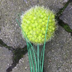 Alternative view of Naturtro grøn allium gren