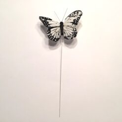 Alternative view of Dekorativ sort hvid sommerfugl