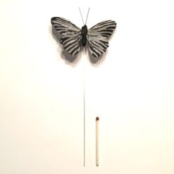 Alternative view of Grå sort sommerfug