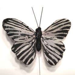 Grå sort sommerfugl