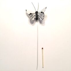 Alternative view of Lille sort hvid sommerfugl