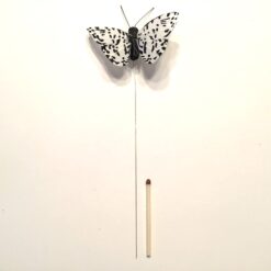 Alternative view of Lille plettet sort hvid sommerfugl