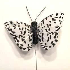 Lille plettet sort hvid sommerfugl
