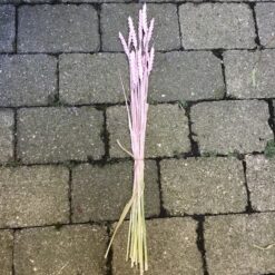 Alternative view of Tørrede lyserød hvede buket