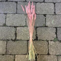 Alternative view of Tørrede rosa hvede buket