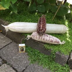 Alternative view of Kunstig lys spegepølse