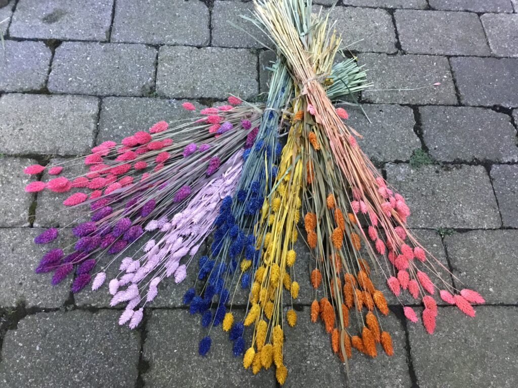 Tørrede Blomster