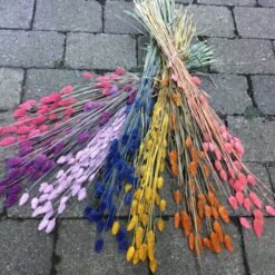 Tørrede Blomster