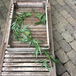 Alternative view of Dekorativ fyldig bambus ranke