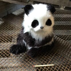 Alternative view of Panda der sidder op