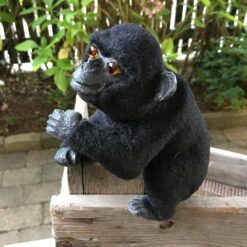 Alternative view of Chimpanse med sort pels