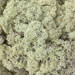 Lys natur præserveret mos 50g