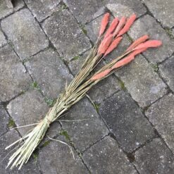 Burgundy farvet tørrede buket