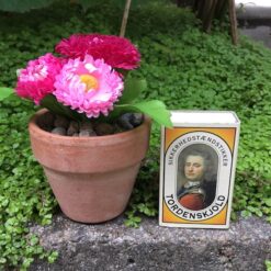 Alternative view of Blomster i mini lerpotte