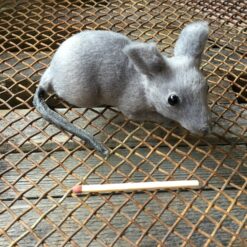 Alternative view of Grå naturtro mus