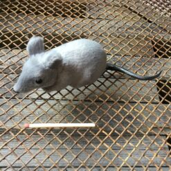 Alternative view of Naturtro lille grå mus