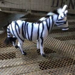 Alternative view of Zebra den største størrelse