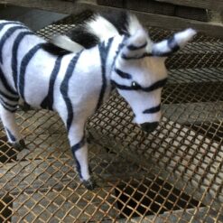 Alternative view of Zebra unge super dekorativ