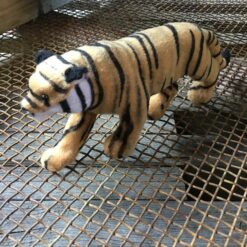 Alternative view of Tiger med blød kort pels