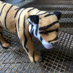 Alternative view of Tiger den største størrelse