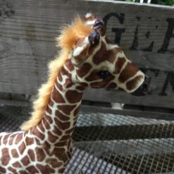 Alternative view of Giraf den højeste af alle