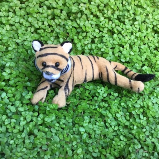 Tiger der ligger