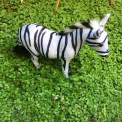 Zebra den største størrelse