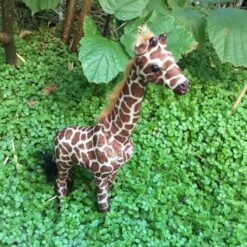 Giraf den højeste af alle